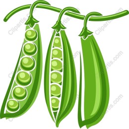 Fresh Green Peas