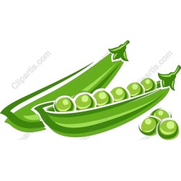 Fresh Green Peas