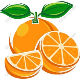 Citrus Burst Orange