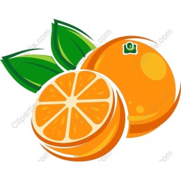Fresh Orange