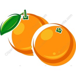 Vibrant Orange