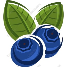 Fresh Blueberry