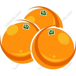 Fresh Orange Trio