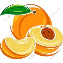 Vibrant Peach