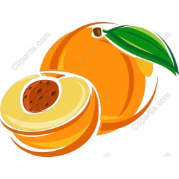 Luscious Apricot