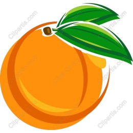 Vibrant Orange