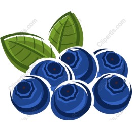 Fresh Blueberry