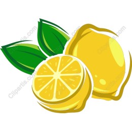 Vibrant Citrus Lemon