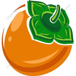 Vibrant Orange