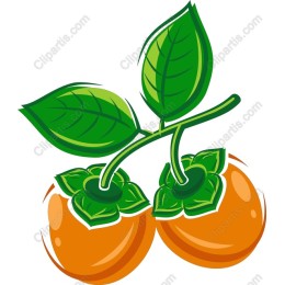 Vibrant Orange Fruit with Leaves