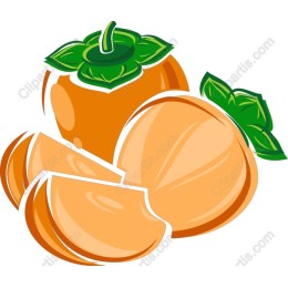 Apricot Delight