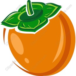 Vibrant Persimmon