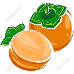 Vibrant Orange and Apricot