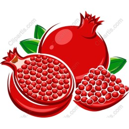 Vibrant Pomegranate
