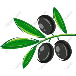 Olive Branch