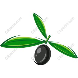 Olive Sprout