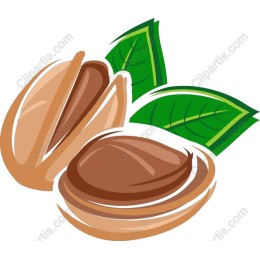 Pistachio Delights