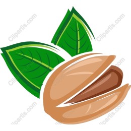 Pistachio Nut