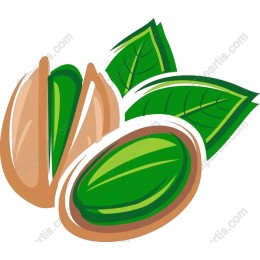 Pistachio Nut