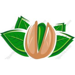 Pistachio Nut with Leaves