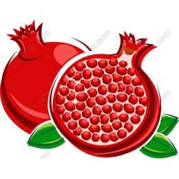 Pomegranate Delight