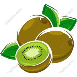 Fresh Kiwi