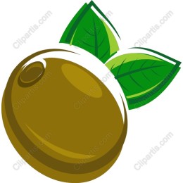 Green Olive with Leaves