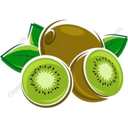 Vibrant Kiwi