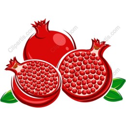 Vibrant Pomegranate