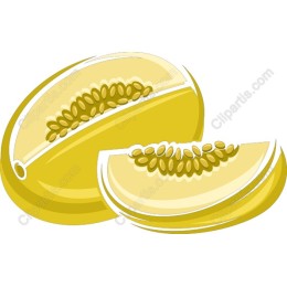 Refreshing Melon