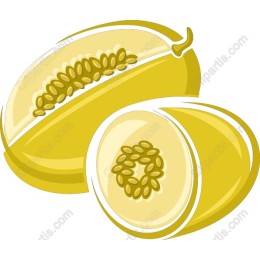 Vibrant Melon