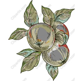Rustic Apple
