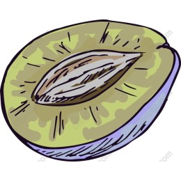 Kiwi Slice