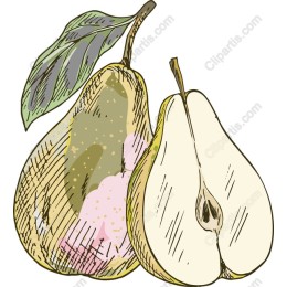 Vintage Pear