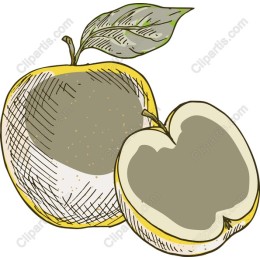 Hand-Drawn Yellow Apple