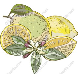 Lemon Delight