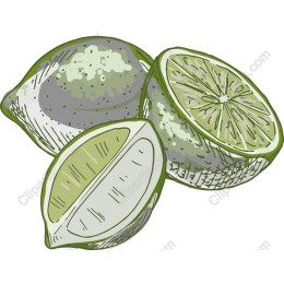 Fresh Lime