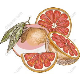 Grapefruit Delight