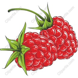 Vibrant Raspberry