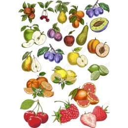 Fruit Set - Hand-Drawn