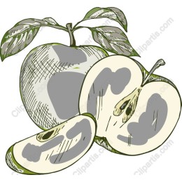 Hand-Drawn Green Apple