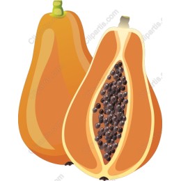 Vibrant Papaya