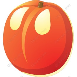 Vibrant Peach