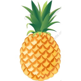 Tropical Pineapple