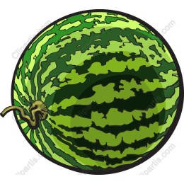 Vibrant Watermelon