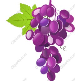 Vibrant Purple Grapes