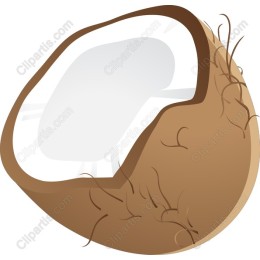 Tropical Coconut Half