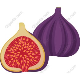 Fresh Fig