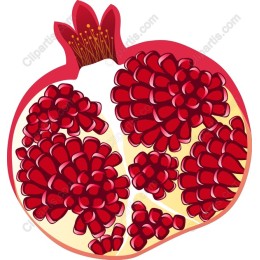 Pomegranate