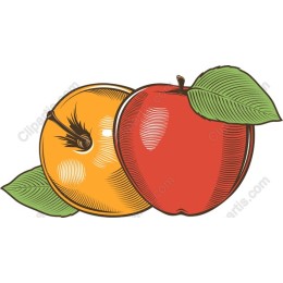Fresh Fruit: Red Apple & Yellow Orange
